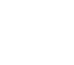Renzo Gracie Jiu-Jitsu lion crest